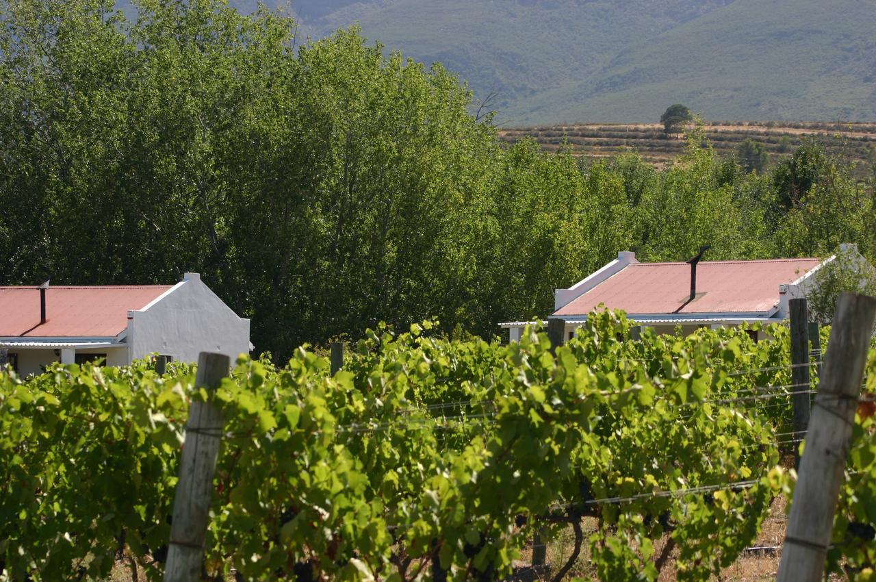 Fraaigelegen Farm - Home Of Adhara Evoo Tulbagh Exterior photo